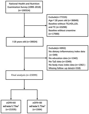 Association between waist triglyceride index, body mass index, dietary inflammatory index, and triglyceride- glucose index with chronic kidney disease: the 1999-2018 cohort study from NHANES